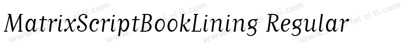MatrixScriptBookLining Regular字体转换